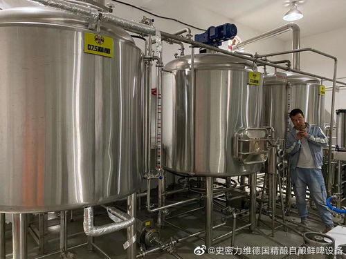 年产3万吨5万吨精酿啤酒设备